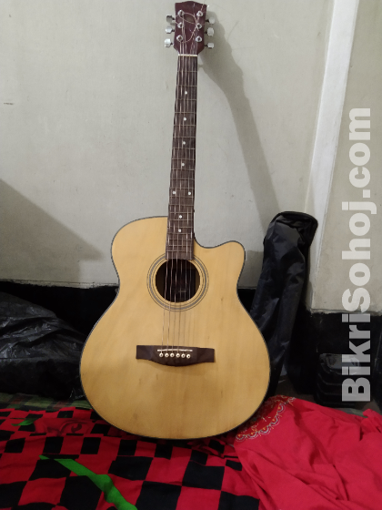 Acoustic guitar